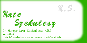 mate szekulesz business card