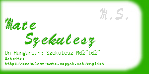 mate szekulesz business card